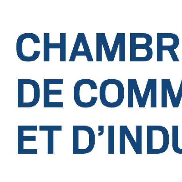 La CCI accompagne les TPE/PME dans leurs premiers pas numériques