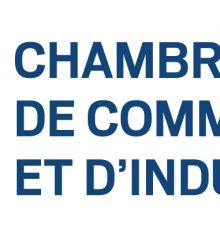 La CCI accompagne les TPE/PME dans leurs premiers pas numériques